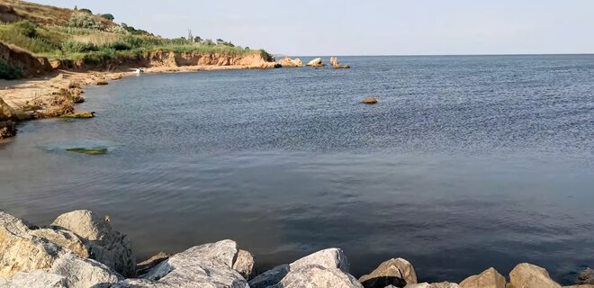 У Чорному морі загинуло близько 1000 дельфінів. Причина — війна та її наслідки - Фото