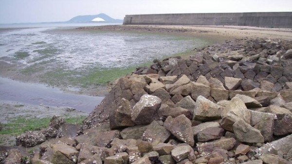 У Японії знайшли загадкового морського «гнома», це новий вид істот