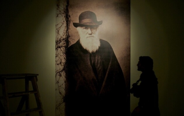 Вчені відтворили особисту бібліотеку Чарльза Дарвіна: вона тепер доступна онлайн