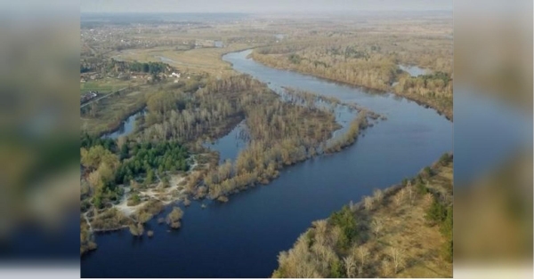 Отрута прийде за два дні: Київ готується зустрічати забруднені росіянами води Десни