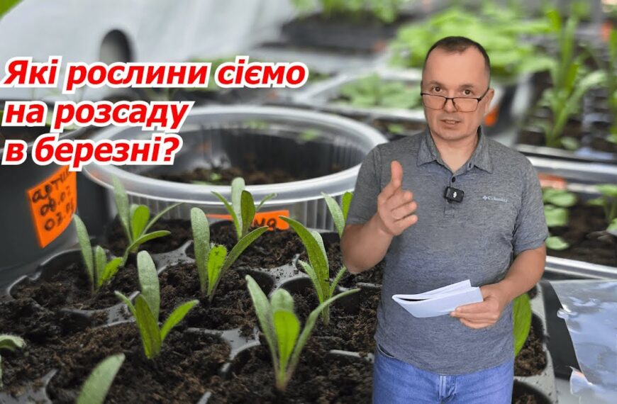 Перець солодкий, баклажани і не тільки: аграрій з Київщини розповів, які рослини можна досіяти в березні