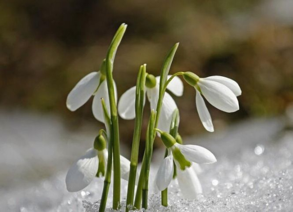 Головна 25 Весняний заряд бадьорості: геніальний спосіб, як легко отримати максимум від сезону, про який ви цього не знали!