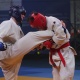 У Києві пройшов фінальний етап Третього чемпіонату України з рукопашного бою, присвячений пам'яті Максима Шаповала. 23