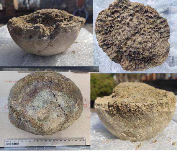 У Переяславі виявлено кістку мамонта віком 25 тисяч років 6