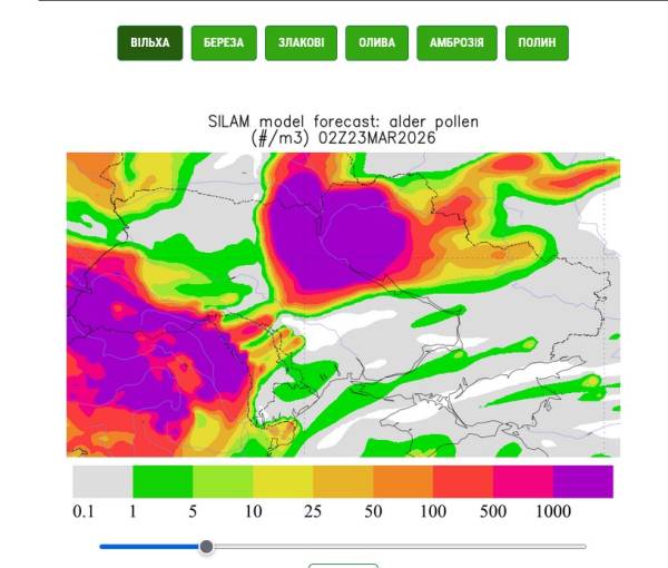 Весна та алергія: як подолати пікові сезони 13