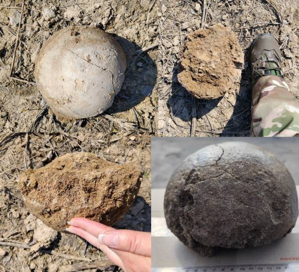 У Переяславі виявлено кістку мамонта віком 25 тисяч років 5