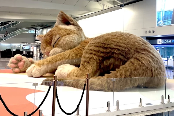 Гігантський "Кетзілла" тепер вітає пасажирів в аеропорту Гонконгу 10