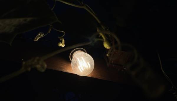 У столиці та окремих регіонах введено екстрені перерви в електропостачанні. 2