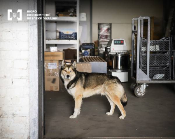 Бюро економічної безпеки викрило значну регіональну торговельну мережу, яка здійснювала штучне подрібнення бізнесу задля уникнення оподаткування. 12