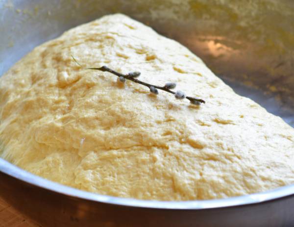 «Чи дрімаєте, чи спите - дайте кукурудзу та яйце!» 16