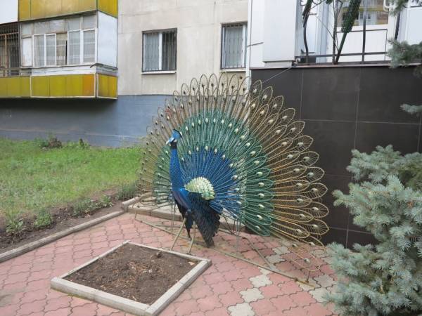 Техно-мистецтво під обстрілом 13