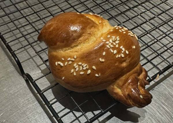 «Чи дрімаєте, чи спите - дайте кукурудзу та яйце!» 18