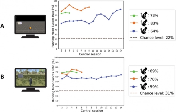 Мавпи у 3D: вчені навчили приматів керувати рухом у віртуальному світі силою думки 5