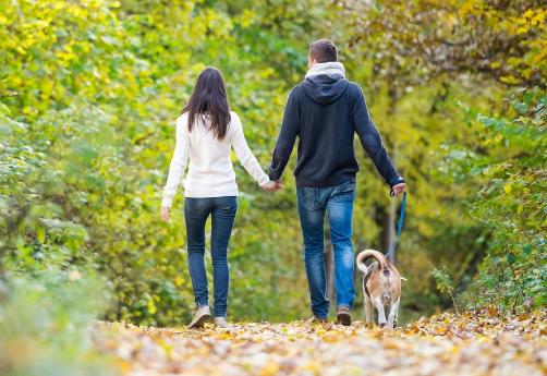 Геніальний спосіб покращити здоров'я, про який ви не знали: як легко це зробити, і ця хитрість, що економить час, змінить ваші тренування! 2