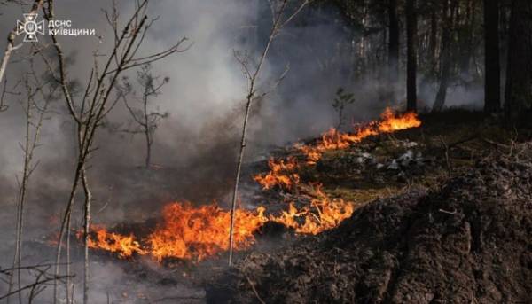 Головна 25 Держспецзв’язку не прогнозує збільшення радіонуклідів через займання в Чорнобильській зоні