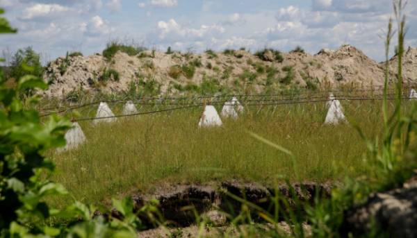 Чернігівщина цілодобово готується до будь-яких несподіванок з боку Білорусі