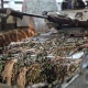 Міністр оборони Латвії направив Україні 14 одиниць військової техніки 12 Міністр оборони Латвії направив Україні 14 одиниць військової техніки 12