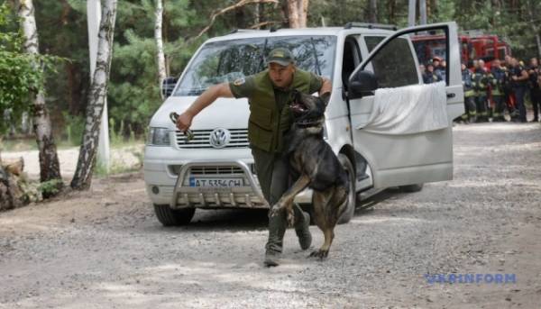 Правоохоронні органи провели спільні тренування в Київській області