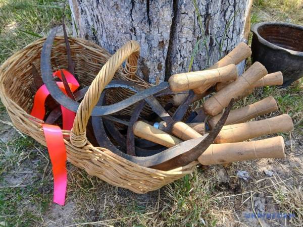 «Зажинки»: перші колоски, зібрані з поля, залишили для різдвяного дідуха. 19 «Зажинки»: перші колоски, зібрані з поля, залишили для різдвяного дідуха. 19