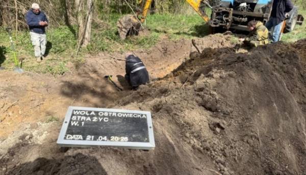 Під час розкопок на Волині виявили останки 38 осіб: пошуковець поділився подробицями