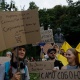 Київ та інші міста вже п'ятий день охоплені протестами. 44 Київ та інші міста вже п'ятий день охоплені протестами. 44