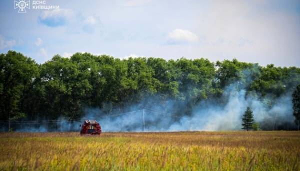 Головна 28 У зоні відчуження приборкали лісову пожежу