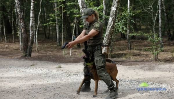 Правоохоронні органи провели спільні тренування в Київській області 15