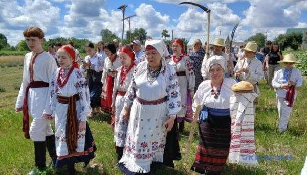 «Зажинки»: перші колоски, зібрані з поля, залишили для різдвяного дідуха.