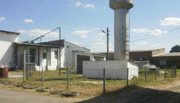 Головна 36 Фонд державного майна виставляє на продаж виноробний завод на Одещині