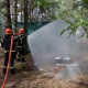Правоохоронні органи провели спільні тренування в Київській області 20