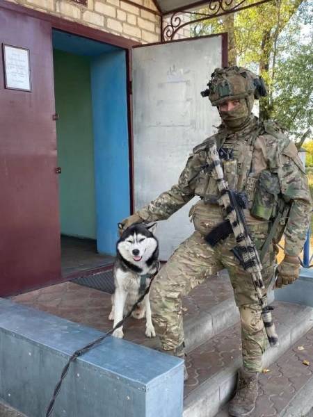 На згадку про штурмовика з Австралії Брока Тенанта Грінвуда 13 На згадку про штурмовика з Австралії Брока Тенанта Грінвуда 13