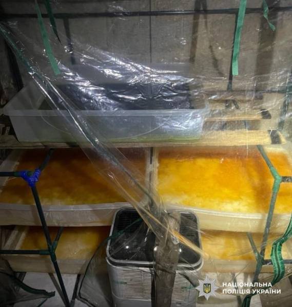 Наркотиків на 540 мільйонів гривень вилучили: в Україні завершено масштабну операцію «Рубікон» 12 Наркотиків на 540 мільйонів гривень вилучили: в Україні завершено масштабну операцію «Рубікон» 12