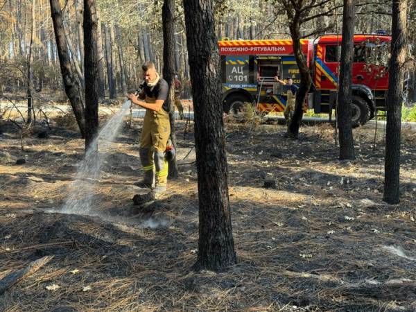 Українські пожежники прибули до Франції для боротьби з великою лісовою пожежею 8 Українські пожежники прибули до Франції для боротьби з великою лісовою пожежею 8