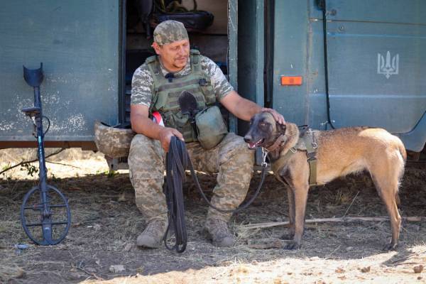 Від початку року фахівці-кінологи зі своїми чотирилапими помічниками обстежили близько 230 гектарів землі. 12 Від початку року фахівці-кінологи зі своїми чотирилапими помічниками обстежили близько 230 гектарів землі. 12