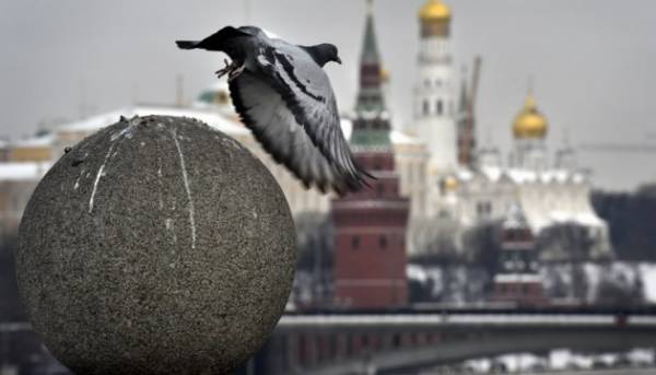 Росія планує провести вибори більш як половини Державної Думи за участю жителів тимчасово окупованих територій – думка експерта