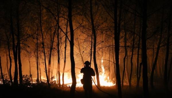 Українські пожежники повернулися додому з Франції, де вони брали участь у боротьбі з лісовими пожежами.