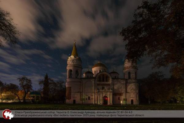 Чернігівець здобув визнання на конкурсі «Вікі любить пам’ятки»