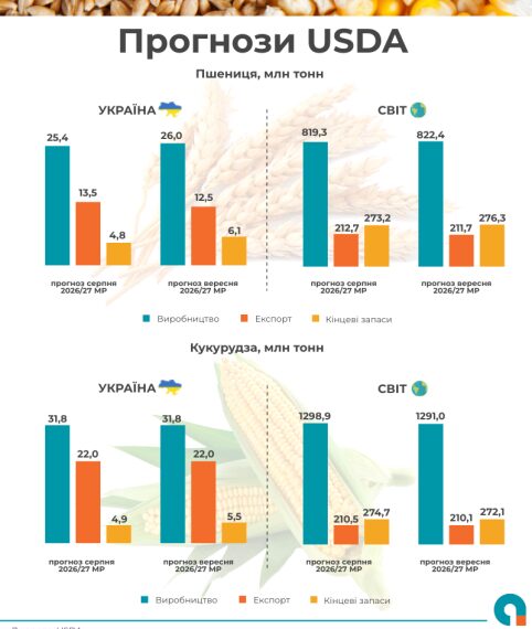 Головна 21 Прогноз урожаю пшениці в Україні зріс, експорт – знизився
