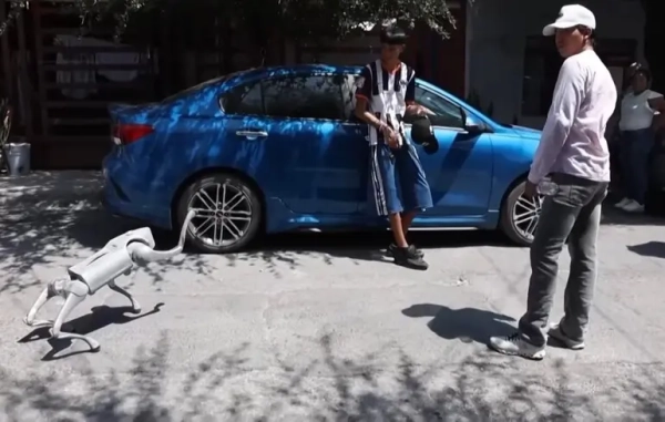 Робот-собака у Мексиці навчає доброти до тварин та фіксує проблеми міста