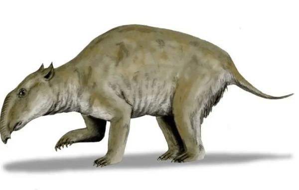 Новий метод дослідження дозволив вченим краще вивчити вимерлі види тварин